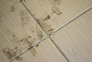 5 Tile Mistakes That Are Wrecking Your Bathroom