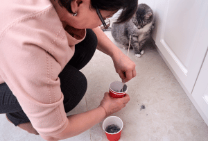 The Hidden Costs of DIY Stone Restoration